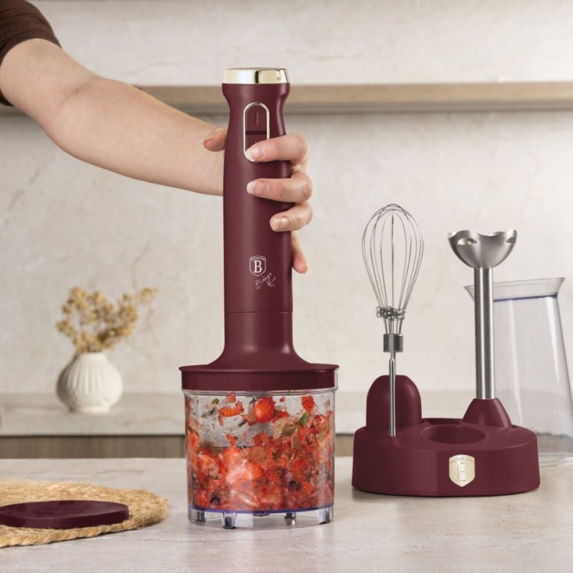Ruční tyčový mixér 800W s příslušenstvím 6ks set Berlingerhaus Leonardo Collection BH-9563