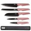 Sada kuchynských nožov s magnetickou lištou 6 dielna Berlingerhaus I-Rose Edition BH-2700